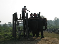 chitwan