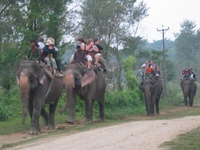 chitwan