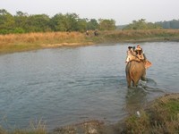 chitwan