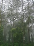 chitwan